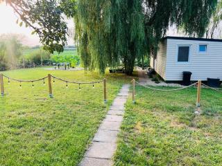 Tinyhouse Snagov Lake - Ciofliceni - 6