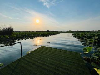 Tinyhouse Snagov Lake - Ciofliceni - 7