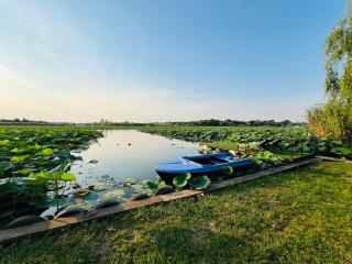 Tinyhouse Snagov Lake - Ciofliceni - 9
