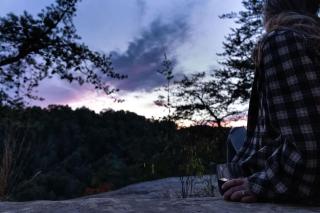 Blue Heron's Nest - Glamping Tent in the Gorge with AC - Rogers - 5
