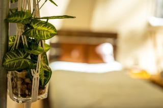 The Green Heron's Nest - Family Glamping Tent in Red River Gorge - Rogers - 5