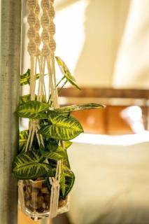 The Green Heron's Nest - Family Glamping Tent in Red River Gorge - Rogers - 4