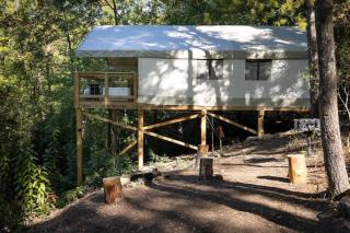 The Goldfinch's Nest - Glamping Tent with AC - Rogers - 6