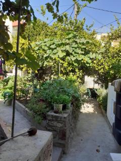 Hidden Garden - Mytilini - 8