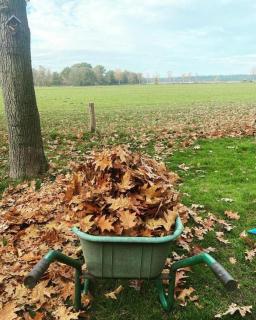 Boshuisje Doldersum: omheinde tuin en uniek uitzicht - 5