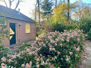 Boshuisje Doldersum: omheinde tuin en uniek uitzicht - Doldersum - 3
