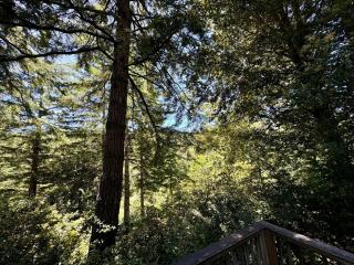Cedar Valley Lodge - Gold Beach - 9