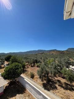 Grand Alver Otel - Edremit - 4
