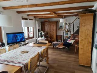 Charming house in La Neuveville with private garden - La Neuveville - 9