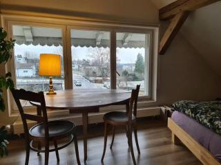 Charming house in La Neuveville with private garden - La Neuveville - 7