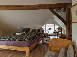Charming house in La Neuveville with private garden - La Neuveville - 6
