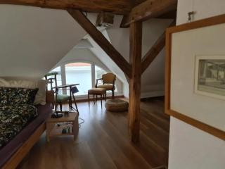Charming house in La Neuveville with private garden - La Neuveville - 4