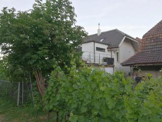 Charming house in La Neuveville with private garden - La Neuveville - 3