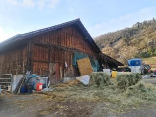 Charming house in La Neuveville with private garden - La Neuveville - 1