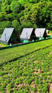 Derede Vore Bungalow - Ardeşen - 8