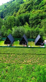 Derede Vore Bungalow - Ardeşen - 1