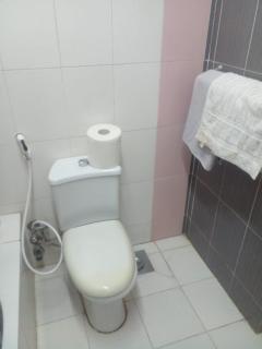 الشقق الفندقيه بعمارات الحديقه الدوليه - 5