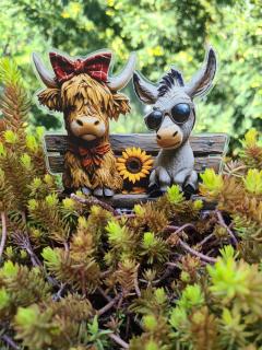 Gästehaus Waldliebe - 4