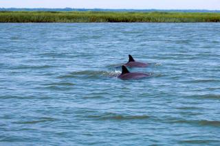 411 Capt John Fripp Villa - Fripp Island - 4
