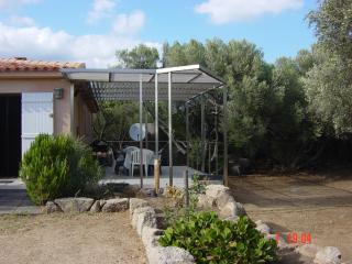 Tozzasim - 5