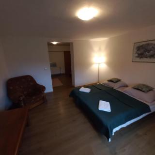 Willa Górskie Zacisze - Borowice - 2
