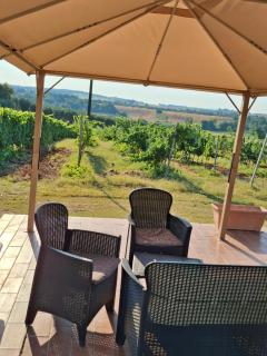 Agriturismo Podere 329 - Magliano in Toscana - 4