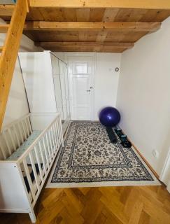 Wenceslas square apartment 150 m2 - Prague - 5