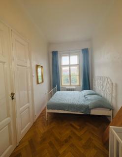 Wenceslas square apartment 150 m2 - Prague - 6