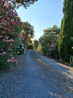 Agriturismo Podere 329 - Magliano in Toscana - 7