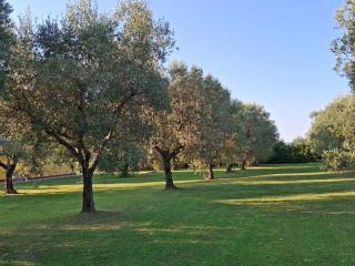 Agriturismo Podere 329 - Magliano in Toscana - 6