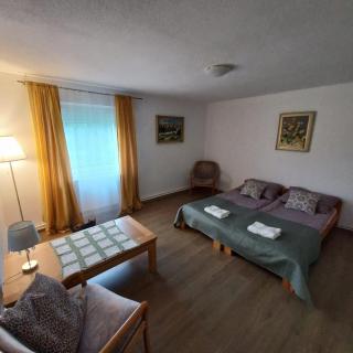 Willa Górskie Zacisze - Borowice - 4