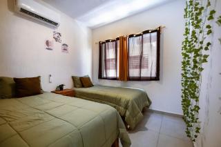 Welcome to the casa de las flores - Naranjo - 7