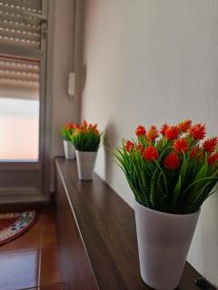 Apartamento Playa de Ber - 9