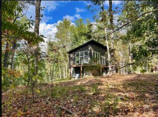 Private 19 Acre Forest Cabin for 2 with Fireplace and WiFi - - 6