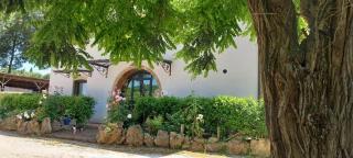 Azienda Agricola Polveraia - San Gimignano - 9