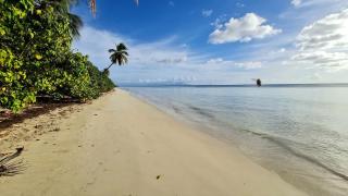 Habitation Noëlesse - vue mer à Marie-Galante - authentique et romantique - 6