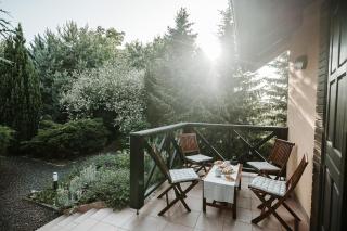 Villa Lara Varaždin - Beletinec - Beletinec - 4
