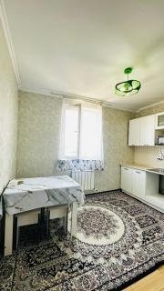 ЖК Алмалы напротив Алматы Арены - Almaty - 6