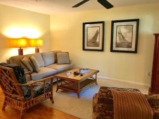 Spring lake 513 - Rehoboth Beach - 1