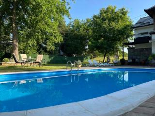 Vila Peščana Tišina - Banatski Karlovac - 7