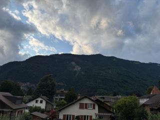 Harderview - Matten - 2