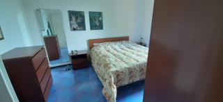 Wonderful apartment in the pine forest - 1