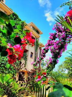 La Vista Residences and Safaris - Jinja - 2