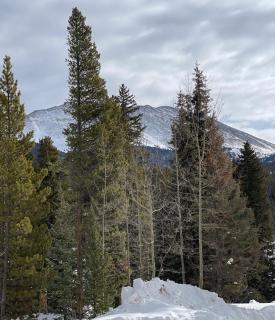 Brecken Haus - 2