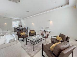 Elegant Penthouse in Prime London - Londra - 1