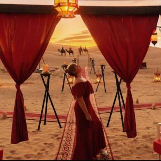 Elegant Luxury Camp - 0