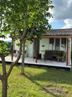 Bazaleti Field House - 9