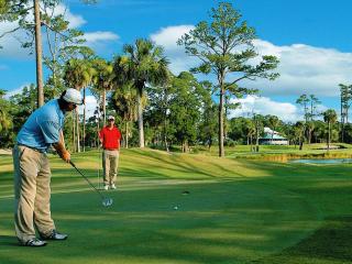 42 Davis Love Dr - Fripp Island - 1