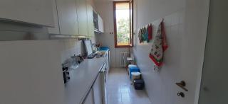 Wonderful apartment in the pine forest - 4
