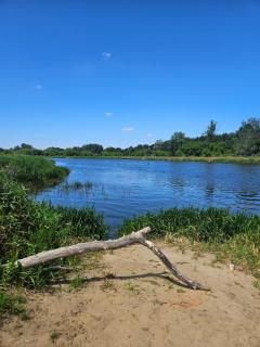 Dom z linią brzegową Narwi - Pułtusk - 8